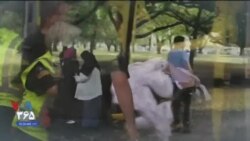 اخبار شامگاهی