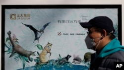 FILE - A man wearing a protective face mask walks by a government poster promoting the protection of wildlife animals following the coronavirus outbreak, in Beijing, China, March 11, 2020. The poster is viewed by critics as propagandistic in nature.