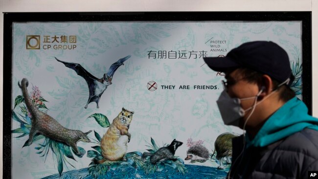 2020年3月11日，中国北京，一名戴着口罩的男子经过一张宣传保护野生动物的海报。