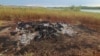 Carcasses of rhinos, zebras and other wildlife were burned in December 2024 at Lake Chivero, about 20 kilometers west of Harare, Zimbabwe, after the animals died from drinking contaminated lake water.