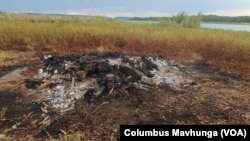 Carcasses of rhinos, zebras and other wildlife were burned in December 2024 at Lake Chivero, about 20 kilometers west of Harare, Zimbabwe, after the animals died from drinking contaminated lake water.