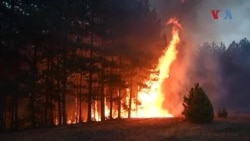 Битка за секоја педа шума: Одблизу со огнот во Малешевијата