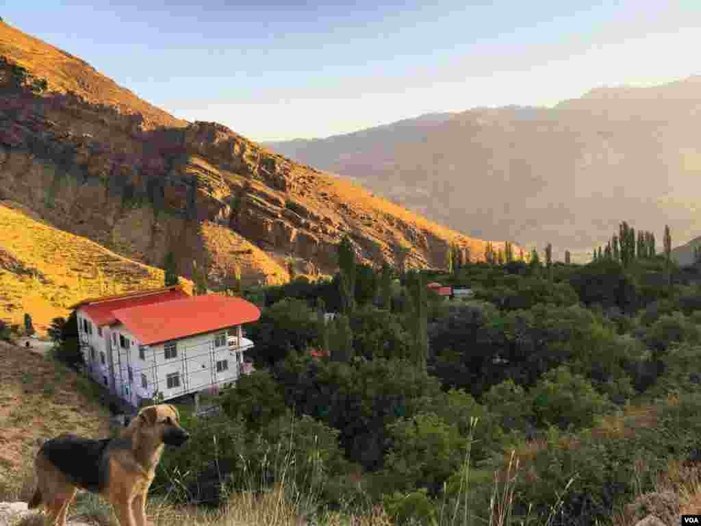 نمای تابستان روستای خورانک شهرستان طالقان عکس: سیامک (ارسالی شما)