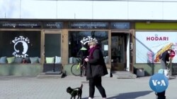 Toilet Paper Cakes are Rolling off Shelves at Finnish Bakery