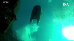 Russia Environment Sponge Disease --  USAGM