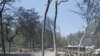 Centuries Old Trees Burn in Texas