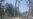 Centuries Old Trees Burn in Texas