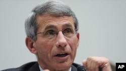 National Institute of Allergy and Infectious Diseases Director Anthony Fauci testifies on Capitol Hill in Washington, Sept. 29, 2009.