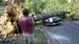 A woman takes photograph of Mike Wolfe's pick-up truck as it lies under a fallen tree in front of his house after a severe storm in Falls Church, Va., June 30, 2012.