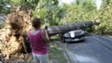 A woman takes photograph of Mike Wolfe's pick-up truck as it lies under a fallen tree in front of his house after a severe storm in Falls Church, Va., June 30, 2012.