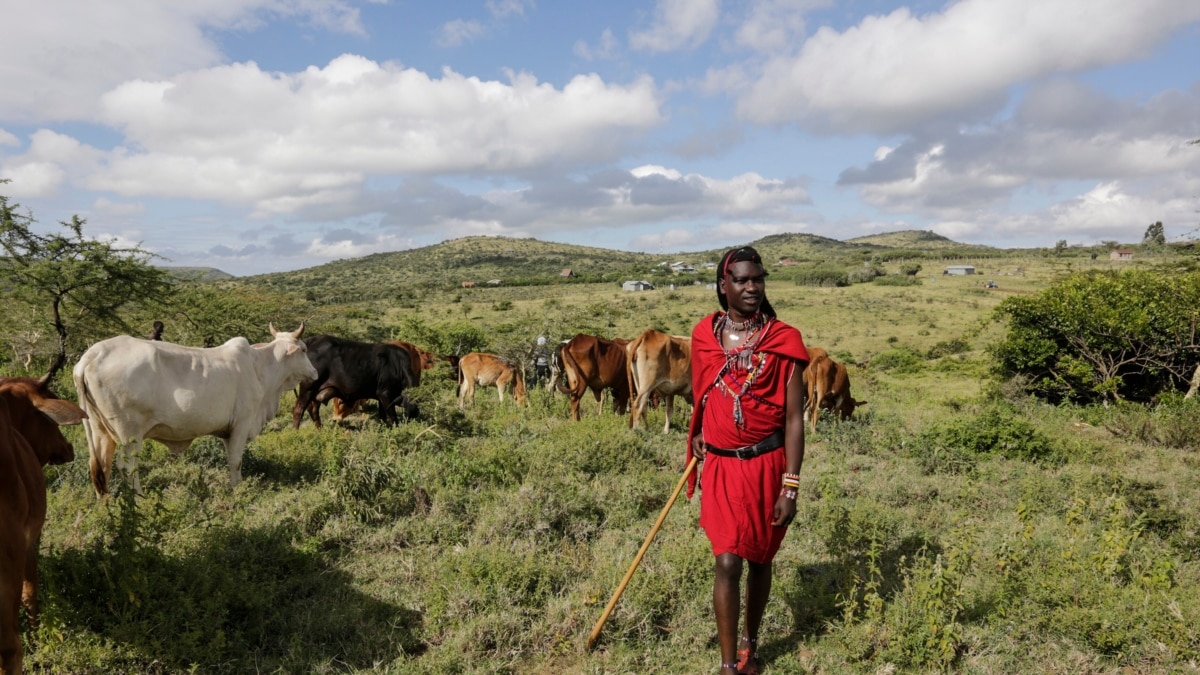 contributions-of-pastoralists-overlooked-underreported-study-finds