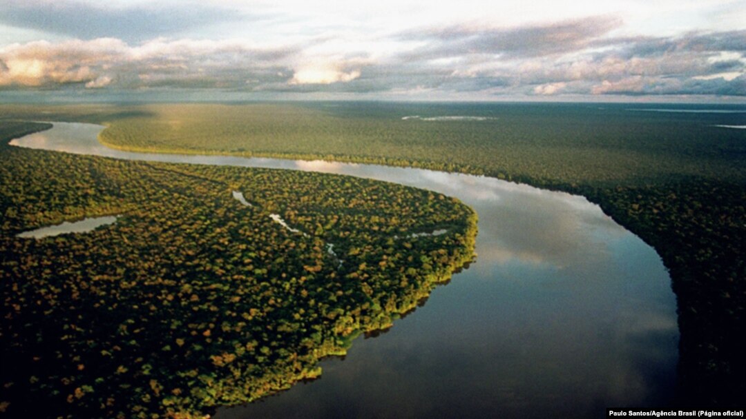 Rio Purus, afluente do rio Amazonas, Brasil