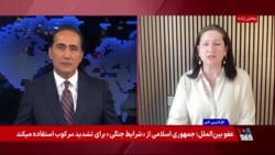 چرا جمهوری اسلامی به رغم «بدگمانی» مذاکره با آمریکا را ترک نمی‌کند؟ گفت‌وگو با فرزانه روستایی