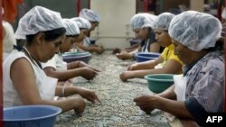 En la foto de archivo trabajadores de la plantación de café "La Esperanza" seleccionan los granos de mejor calidad para exportar, en Matagalpa, Nicaragua.