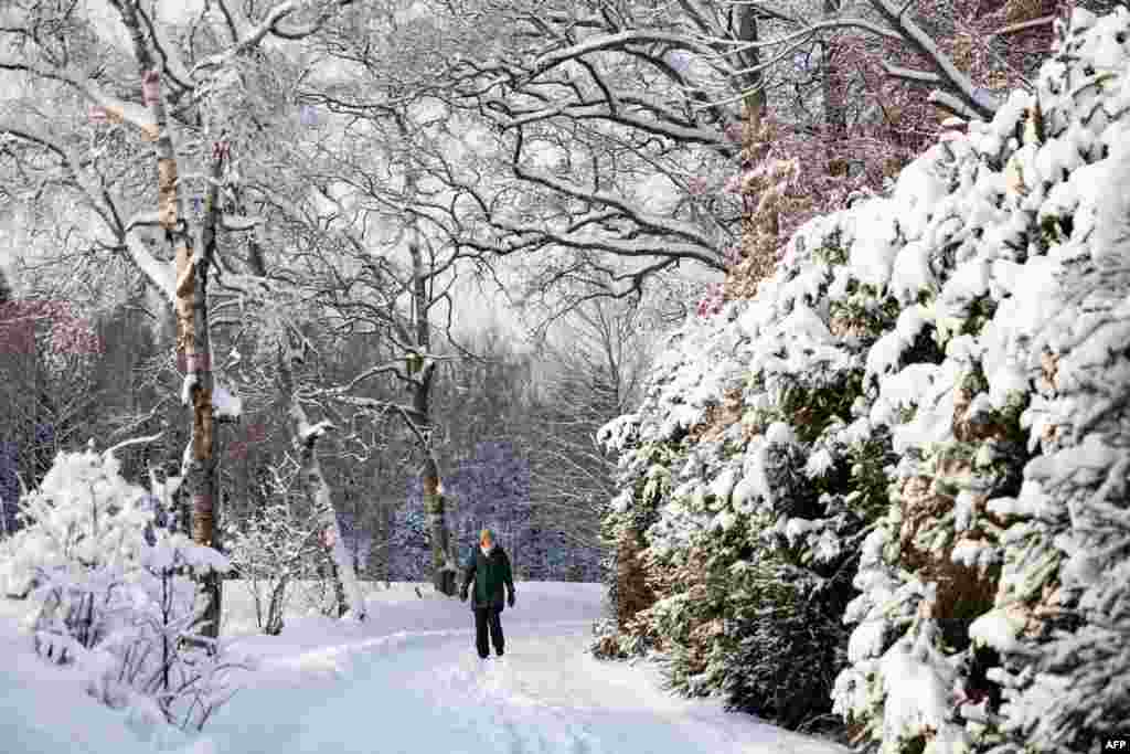 A woman makes her way along a snow covered lane near the Braate forest east of the Norwegian capital Oslo, on December 25, 2023.