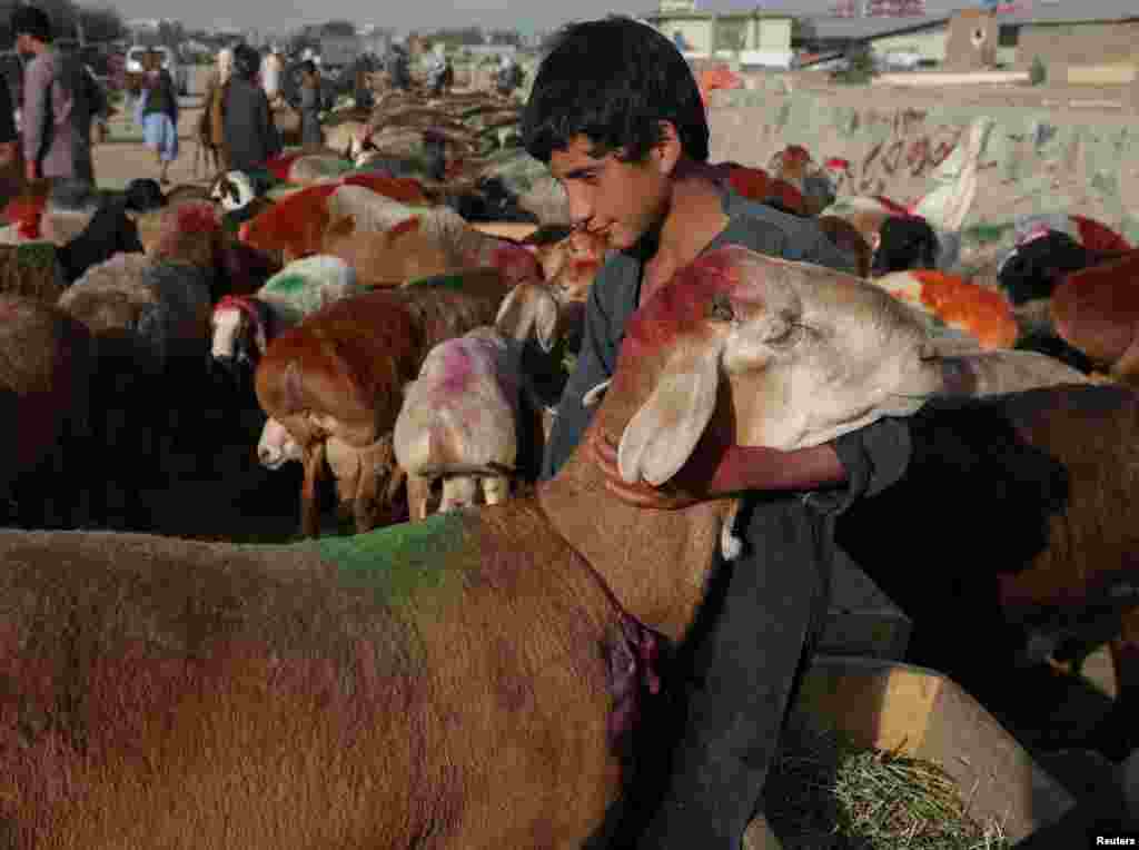 وزارت صحت عامۀ افغانستان از احتمال شیوع ویروس تب خون&zwnj;دهنده (کانگو) به دلیل ذبح حیوانات در روزهای عید قریان هشدار داد و از شهروندان این کشور خواست که نکات صحی را باید جدی بگیرند.