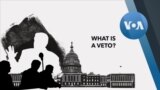 Explainer Veto