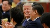 U.S. President Donald Trump and China's President Xi Jinping attend a state dinner at the Great Hall of the People in Beijing, Nov. 9, 2017.