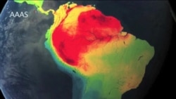 Un mundo que se extingue