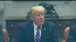 اخبار شامگاهی