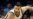 Siguen negociando en la NBA