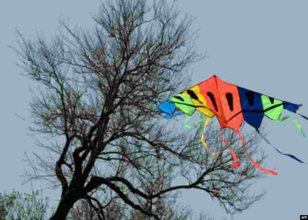 Festivali i Balonave në Uashington