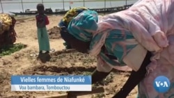 Niafunke Musso Koroba ou ka nako baraa