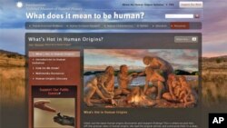Rubrika na web sajtu o podrijetlu ljudske vrste "Što je zanimljivo i aktualno na području ljudske evolucije" informira posjetitelje o najnovijim istraživanjima i rezultatima studija u ovoj znanstvenoj granii