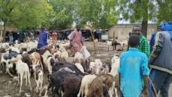 Seli ba laben oni laya sanni geleya Codiwoire jamana la