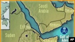 Progress Reported in Thwarting Pirate Attacks off Somali Coast