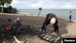 FILE - A fisherman prepares fish beside Lake Malawi, 120 km east of the capital Lilongwe. Malawi introduced the $75 visa fee from Oct. 1, 2015, in a bid to boost government revenue.