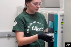 California Cultured lab technician Aubrey McKeand works on cell cultures in the company's lab in West Sacramento, Calif., Wednesday, Aug. 28, 2024. (AP Photo/Jeff Chiu)