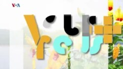 Vous + Nous