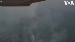 Ամազոնի արևադարձային անտառներում հրդեհները շարունակվում են