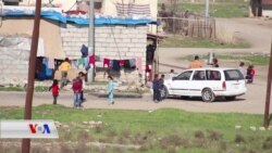 Kurdên Gerok ji Jîyana Bajarî Dilxweş In