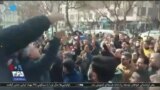 اخبار شبانگاهی