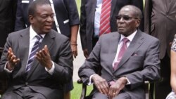 Report on Million Man March Filed By Loirdham Moyo
