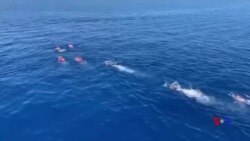 救援船靠港被拒 絕望難民跳海游向意大利