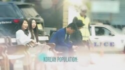 بي بي شیرینه – وي او اې ډيوه په ټیلې ویژن