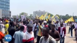 Opposition esali milulu mpo na kopamela bokangami ya ba opposants mpe monyokoli bwa bango na Kinshasa 