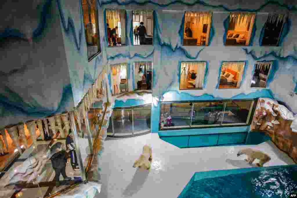 People look at polar bears inside an enclosure at a newly-opened hotel, which allows guests views of the animals from rooms on the premises in Harbin, northeastern China's Heilongjiang province.