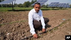 Farmer Pravinbhai Parmar shows drip irrigation run by solar panels installed at a farm in Dhundi village of Kheda district in western Indian Gujarat state, India, Jan. 13, 2023.