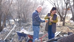 Արենիի ավստրալացի փեսան. inՏԱՆԻՔ