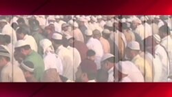 پښتون کنکشن ۲۸