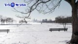 Manchetes Americanas 31 janeiro: Temperaturas nos EUA estão abaixo dos 0º celsius