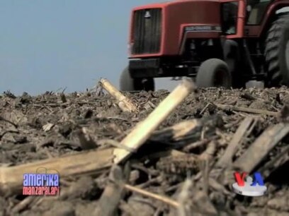 Amerikada qurg'oqchilik/Drought in US