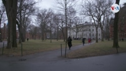 Orinoco: Emblema venezolano en Boston