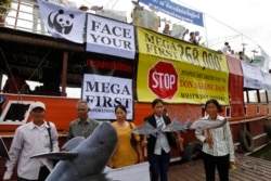 FILE - Cambodian non-governmental organization (NGO) activists hold a cut-out of Mekong dolphin, left, and cut-out of other species during a protest against the Don Sahong dam, in Phnom Penh, Cambodia.