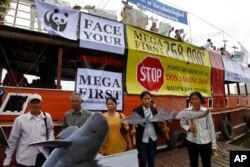 FILE - Cambodian non-governmental organization (NGO) activists hold a cut-out of Mekong dolphin, left, and cut-out of other species during a protest against the Don Sahong dam, in Phnom Penh, Cambodia.