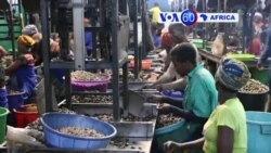 Manchetes Africanas 30 Abril: Governo moçambicano quer reactivar indústria do caju